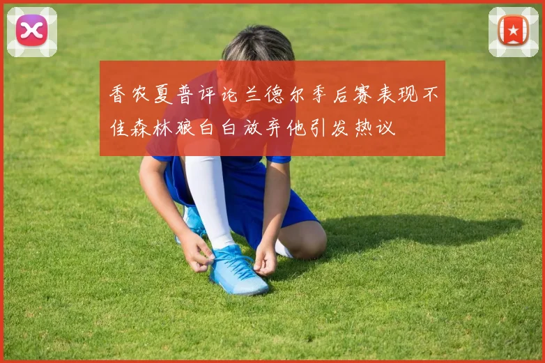 香农夏普评论兰德尔季后赛表现不佳森林狼白白放弃他引发热议
